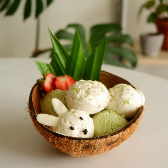 resep es krim alpukat 
